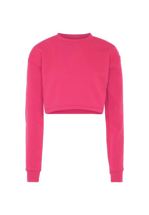 Libbi Sweatshirt  pink