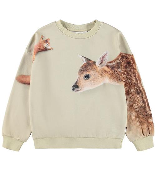 Molo Sweatshirt - Maxi - Forest Freinds