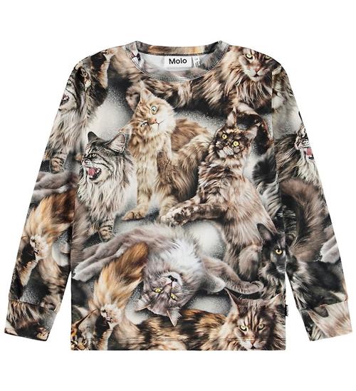 Molo Bluse - Rill - Cattitudes