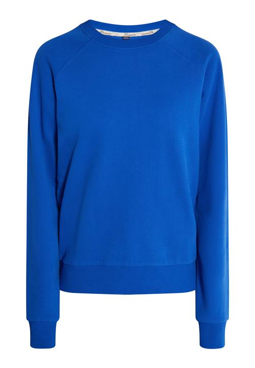 DreiMaster Maritim Sweatshirt  royalblå