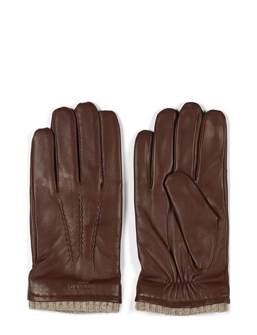 Howard London | Leather Gloves  Ted | 10