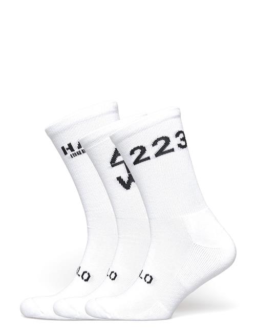 HALO | Halo Essential Cotton Socks | 39/42