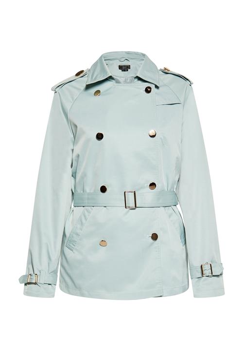 faina Overgangsfrakke  mint