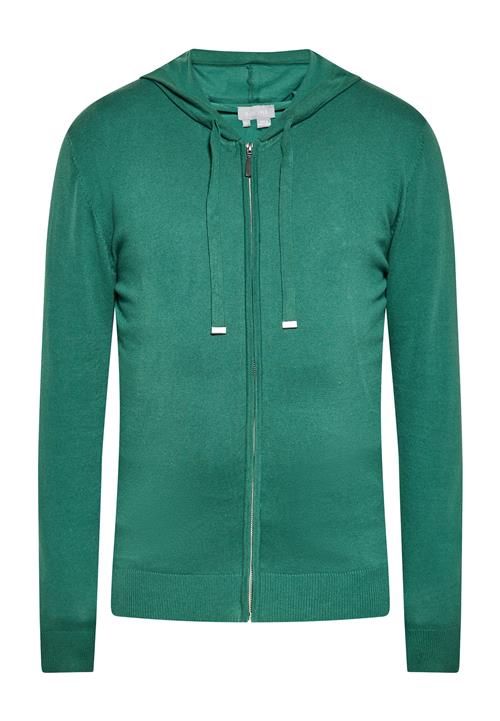 boline Cardigan  grøn