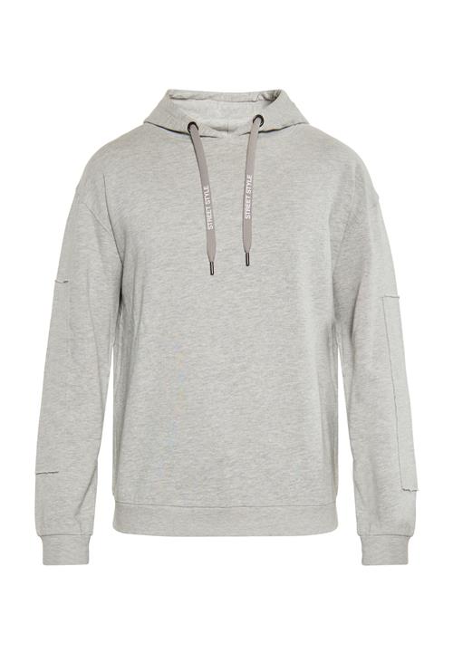 boline Sweatshirt  grå