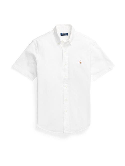 Polo Ralph Lauren Skjorte  navy / brun / hvid