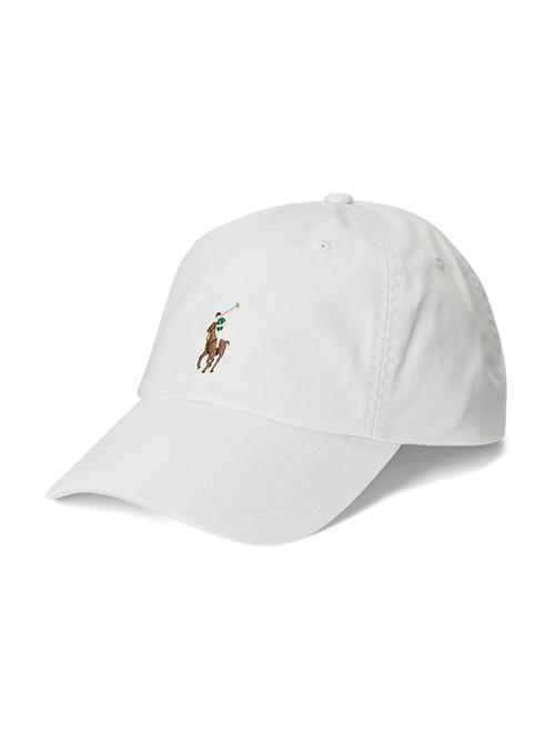Polo Ralph Lauren Hætte  brun / grøn / rød / hvid