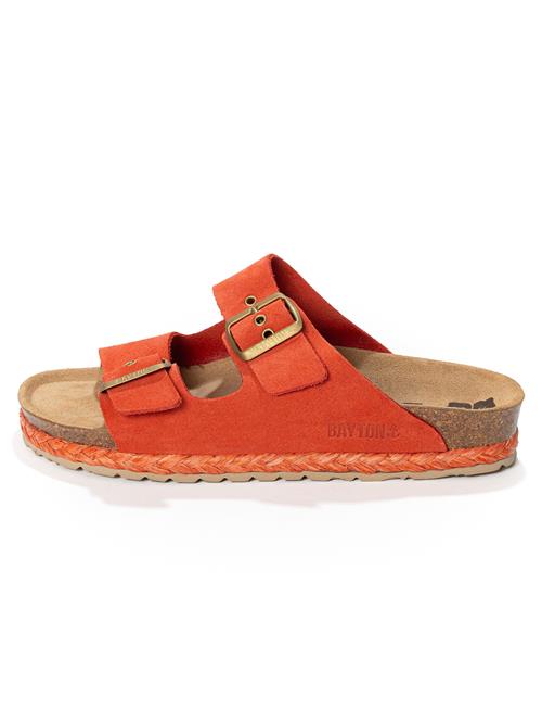 Bayton Pantoletter 'Athena'  koral