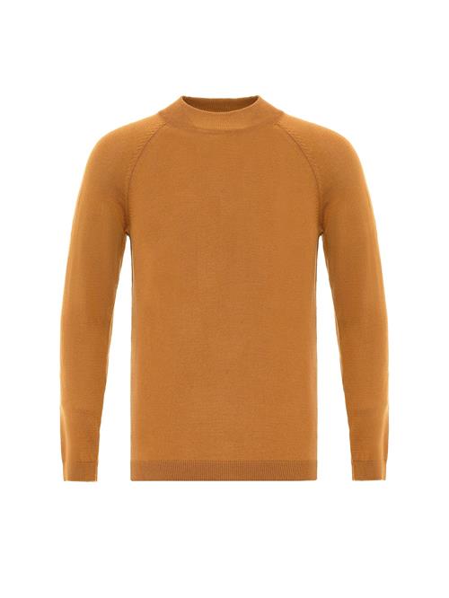 Antioch Pullover  brun