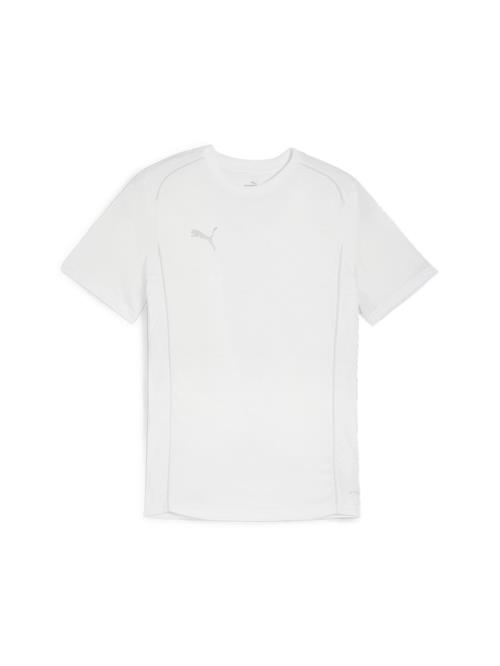 PUMA Funktionsskjorte 'TeamFinal'  sølv / hvid