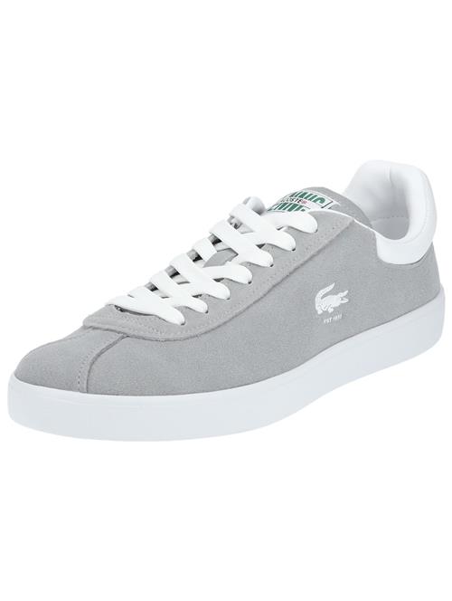 LACOSTE Sneaker low  grå-meleret / hvid