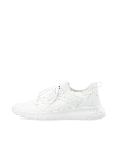 Bianco Sneaker low 'Lauren'  hvid