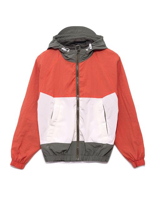 Daniel Hills Overgangsjakke  oliven / carminrød / hvid