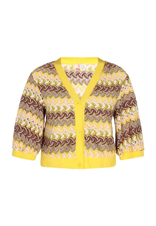 IZIA Cardigan  beige / brun / gul