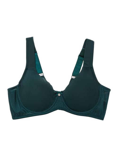 SHEEGO BH  smaragd