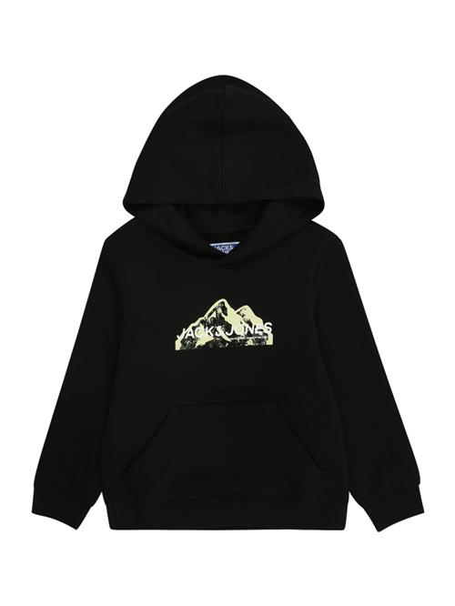 JACK & JONES MINI Sweatshirt  mudderfarvet / lysegrøn / sort / hvid