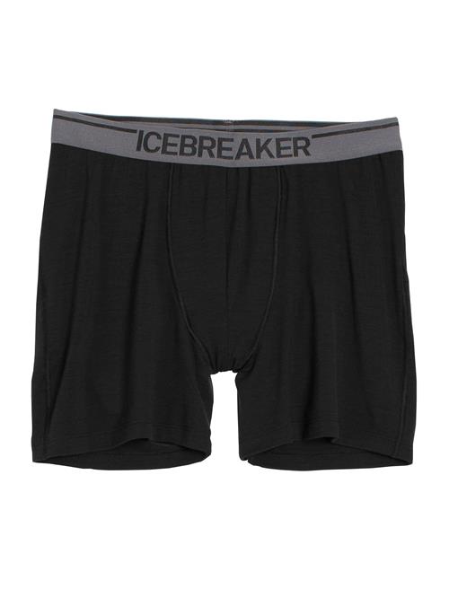 ICEBREAKER Sportsunderbukser 'Anatomica'  mørkegrå / sort