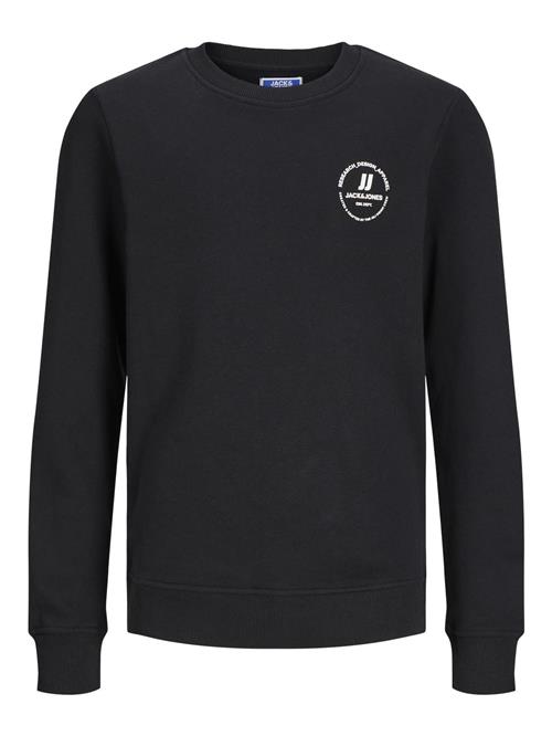 Jack & Jones Junior Sweatshirt  sort / hvid