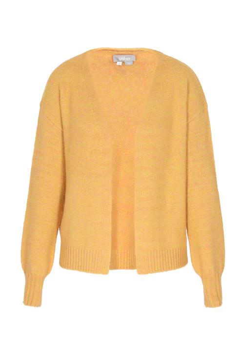 Usha Cardigan  curry
