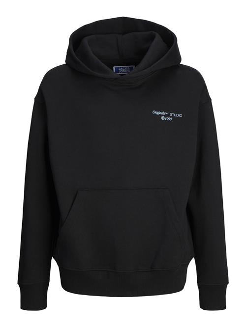 Jack & Jones Junior Sweatshirt  blandingsfarvet / sort