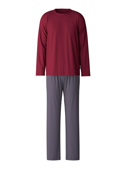 CALIDA Pyjamas lang  marin / bordeaux / hvid