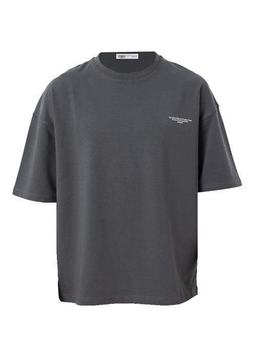 VAMOS CLO Bluser & t-shirts  grå / hvid