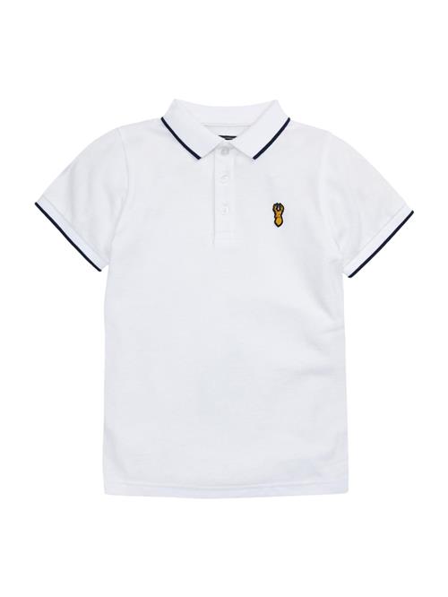 Next Shirts  orange / sort / hvid