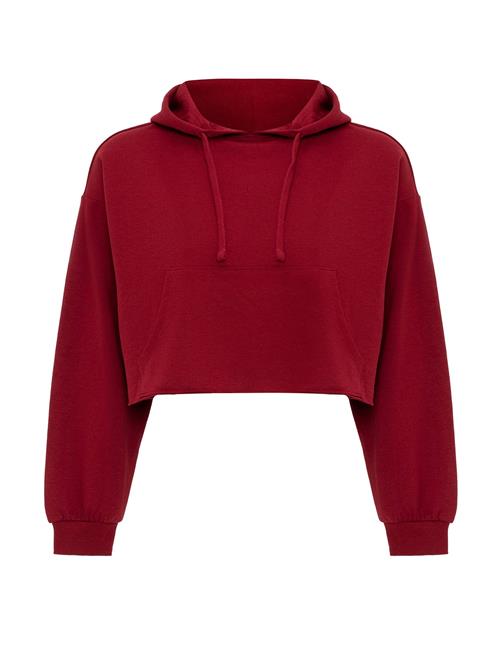 Jacey Quinn Sweatshirt  bordeaux