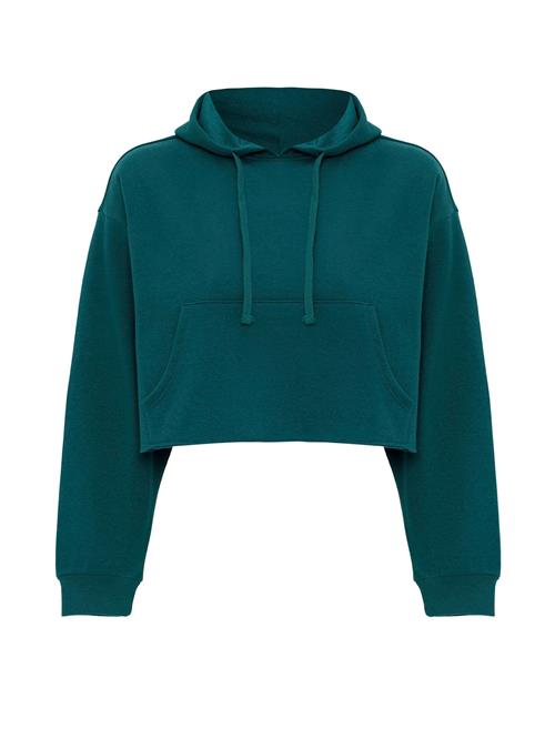 Jacey Quinn Sweatshirt  grøn