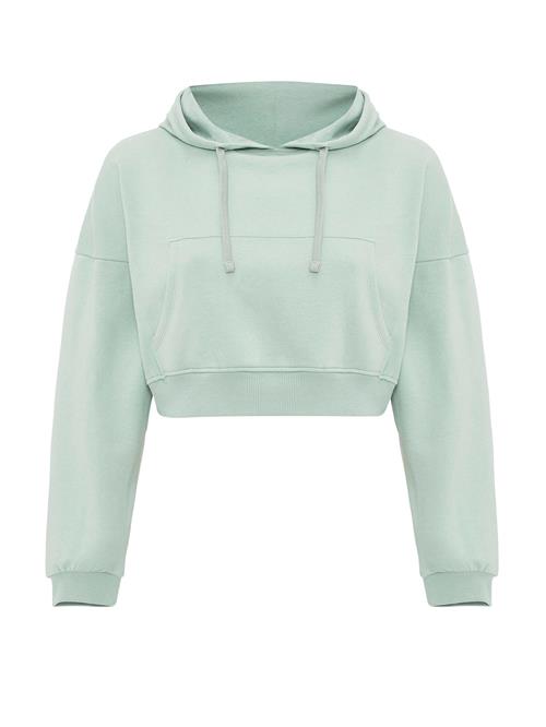 Jacey Quinn Sweatshirt  mint