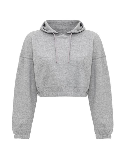 Jacey Quinn Sweatshirt  grå
