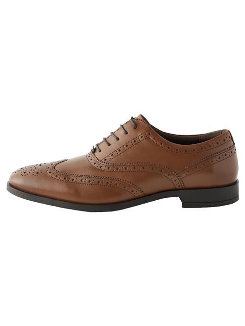 Next Snøresko 'Oxford-Brogues '  brun