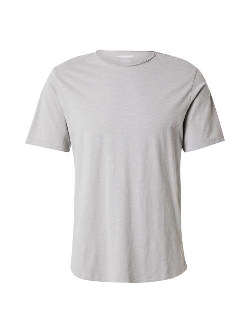 JACK & JONES Bluser & t-shirts 'JJEBasher'  lysegrå