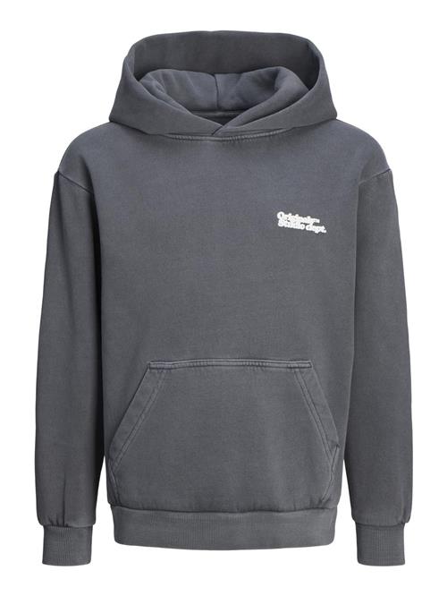 Jack & Jones Junior Sweatshirt  grå / hvid