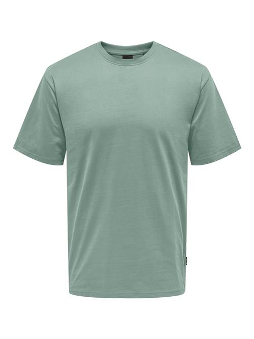 Only & Sons Bluser & t-shirts 'ONSFred'  siv