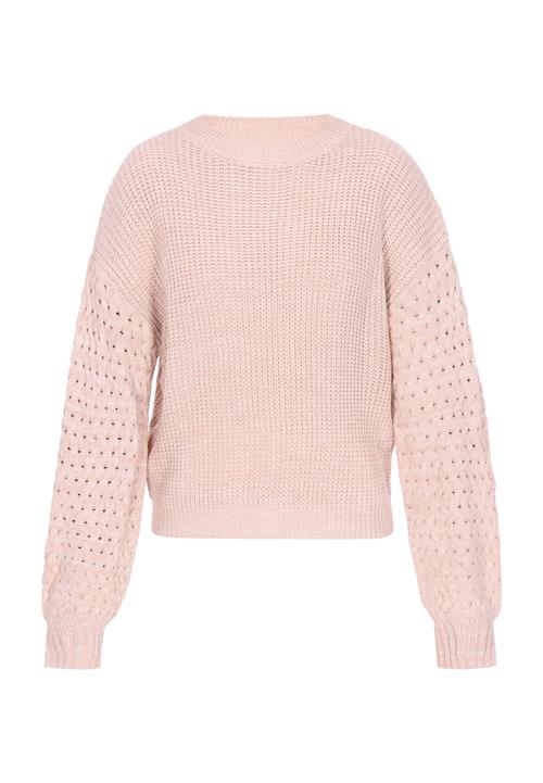 Usha Pullover  nude