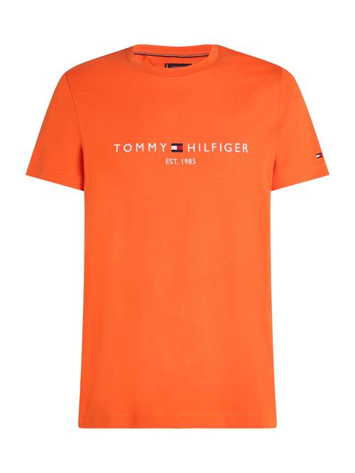 TOMMY HILFIGER Bluser & t-shirts  navy / hummer / rød / hvid
