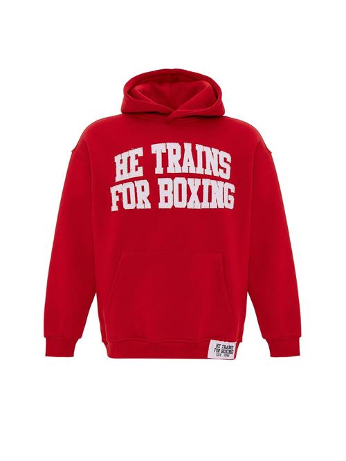 Dandalo Sweatshirt  rød / hvid