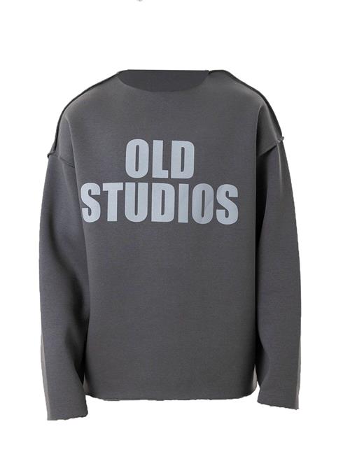 Dandalo Sweatshirt  sølvgrå / mørkegrå