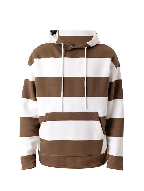 Dandalo Sweatshirt  brun / hvid