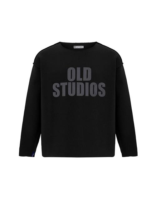 Dandalo Sweatshirt  mørkegrå / sort