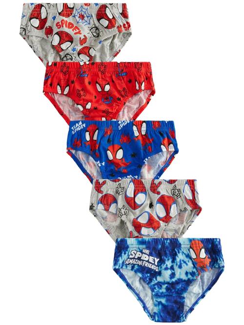 Next Underbukser  blå / grå / rød