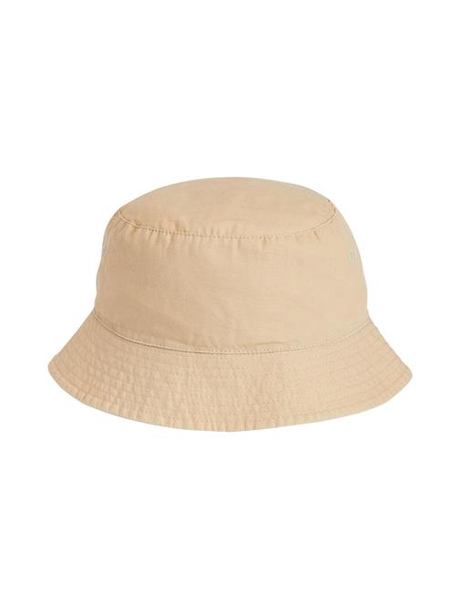 Next Hat  camel