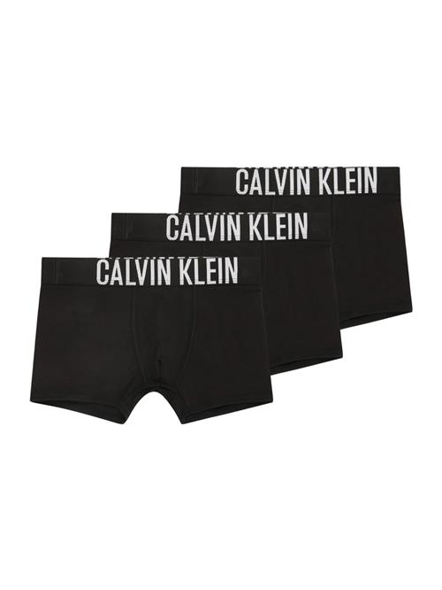 Calvin Klein Underwear Underbukser  sort / hvid