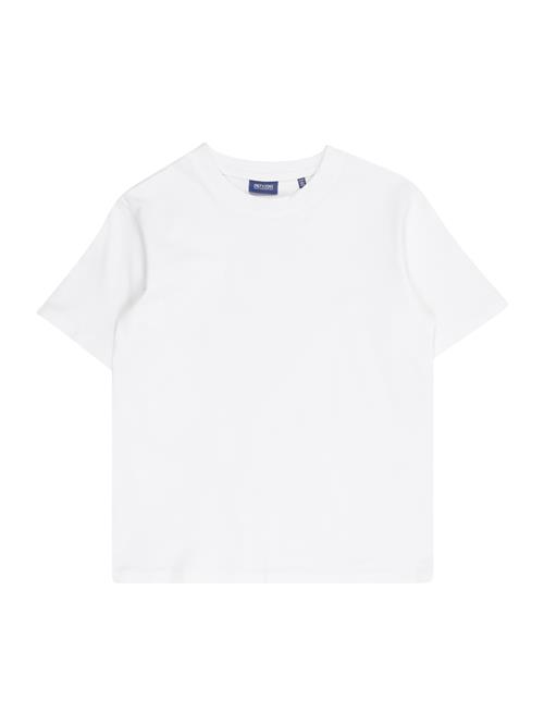 Only & Sons Junior Shirts 'OSJFRED'  hvid