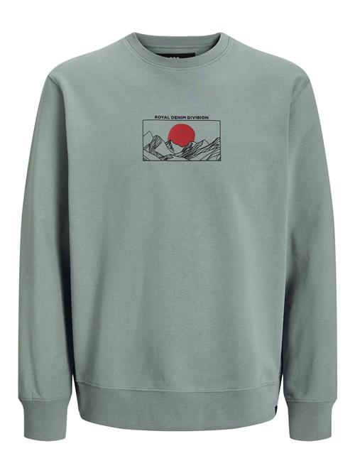 R.D.D. ROYAL DENIM DIVISION Sweatshirt  grå / rød / sort