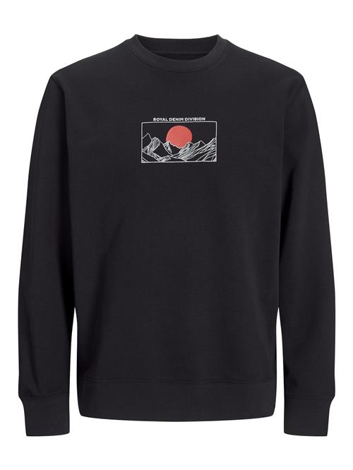 R.D.D. ROYAL DENIM DIVISION Sweatshirt  lysegrå / rød / sort