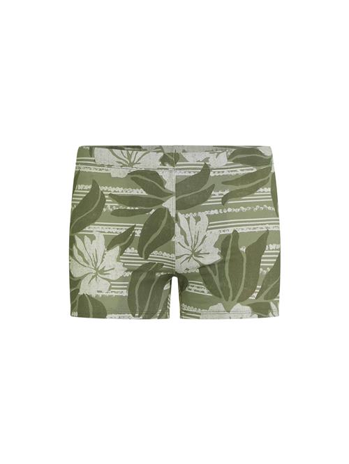 O'NEILL Badebukser 'Essentials Racer'  grøn