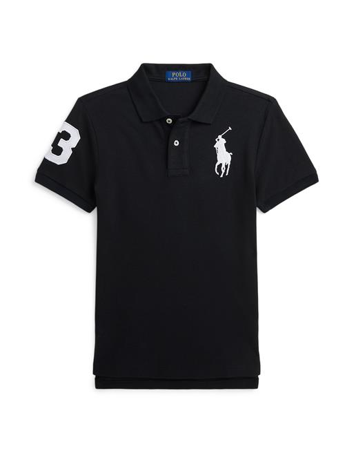 Polo Ralph Lauren Shirts  sort / hvid
