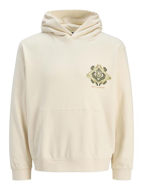 JACK & JONES Sweatshirt  champagne / grøn / oliven